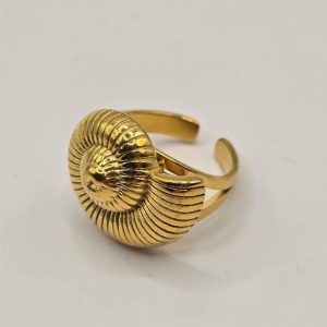 Ατσάλινο Δαχτυλίδι Spiral Shell